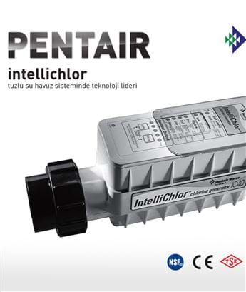 Ekolojik Havuz Sistemleri